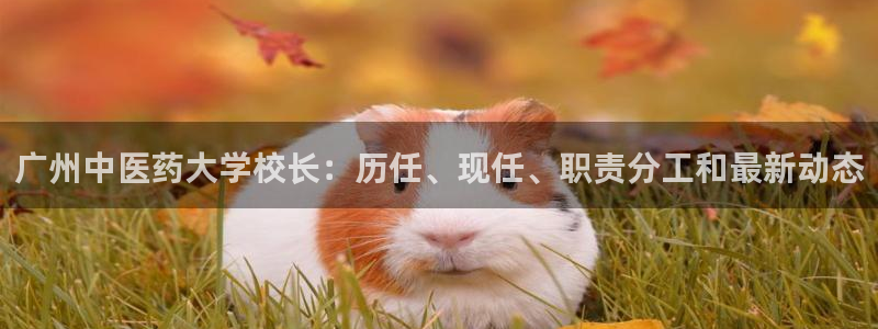 九游会官网在线