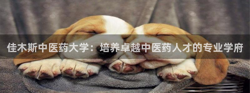 j9九游会买u多少一个