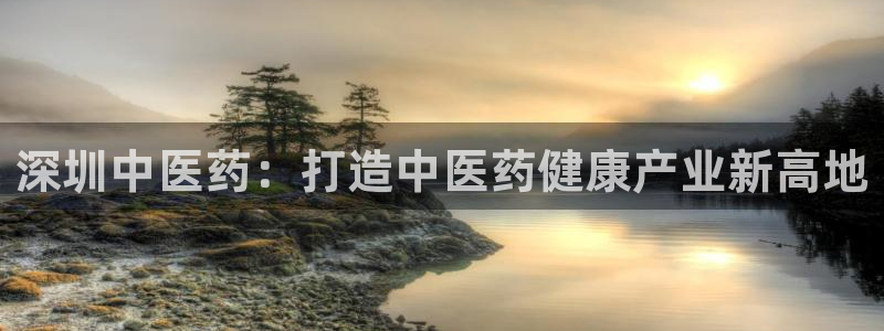 ag九游会集团