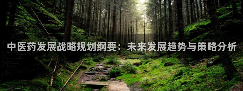 j9九游会合法吗