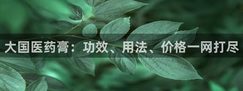九游会登录网站吗