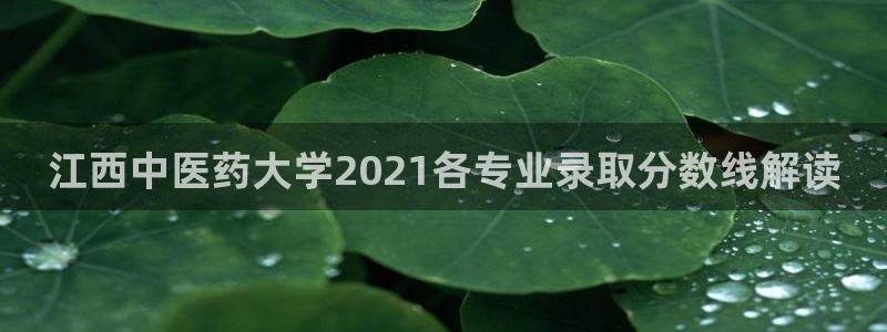 九游会j9官方登录入口