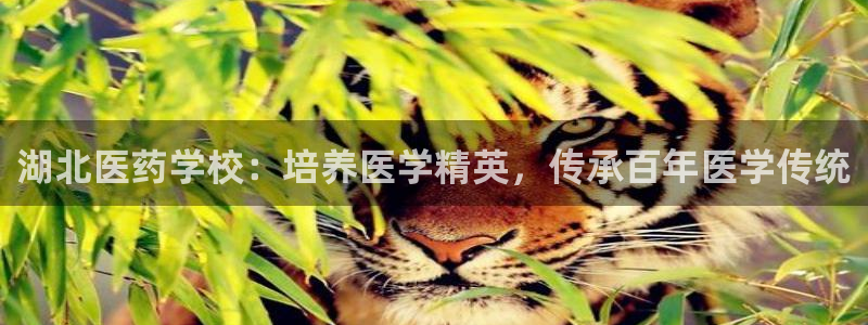 九游会网站打不开了