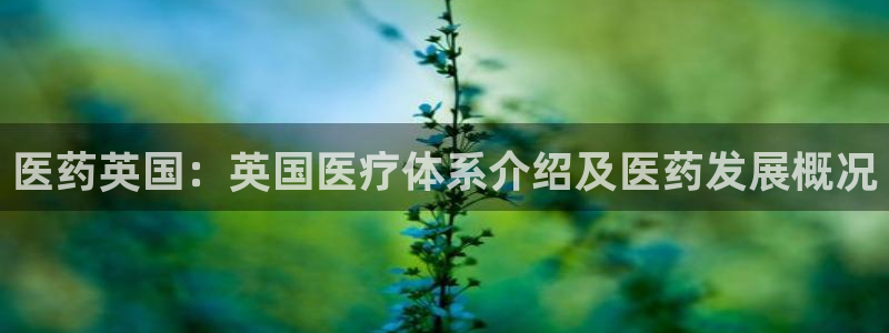 ag怎么变成九游会了