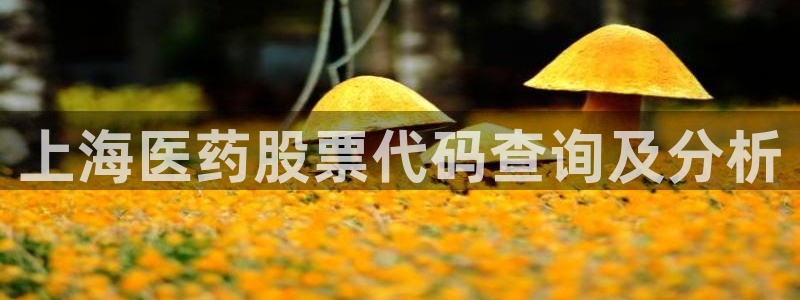 j9九游会登录入口首页