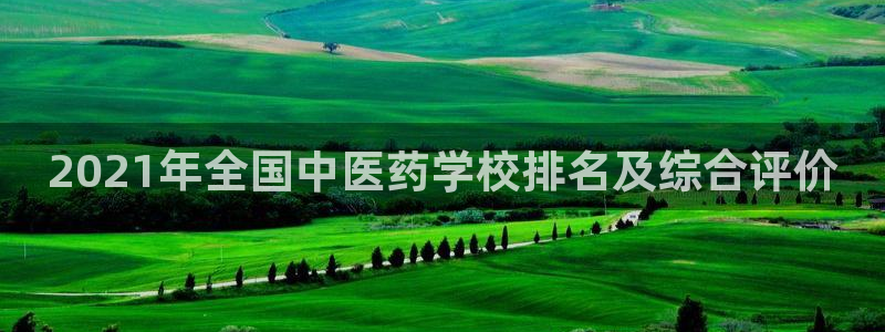 九游会中国j9 09.ag