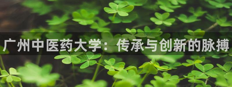 九游会首页登陆