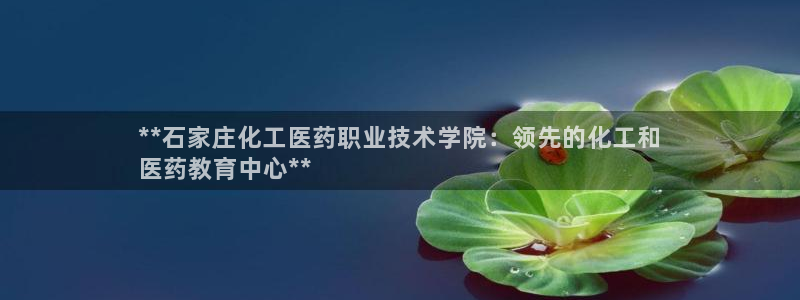 九游会ag318
