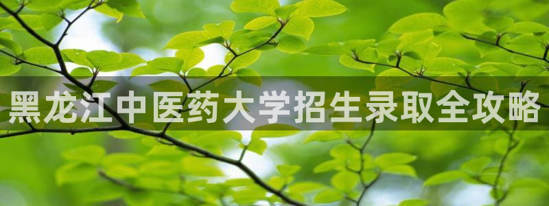j9九游会跑路了吗