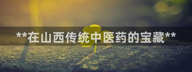 J9九游会九游国际版