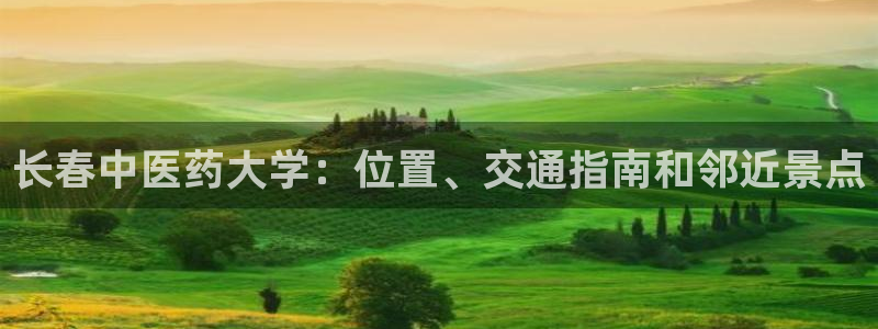 九游会这几天打不开了