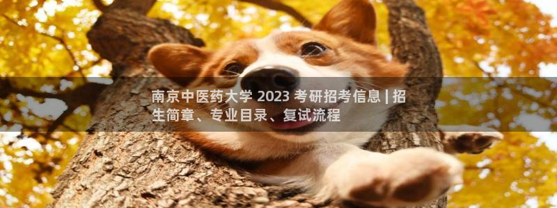 九游会官网贴吧