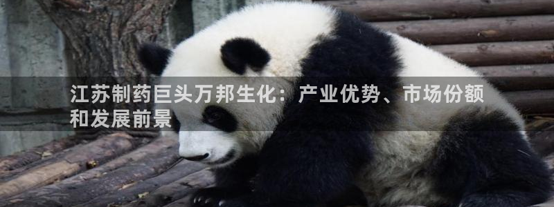 九游j9国际站