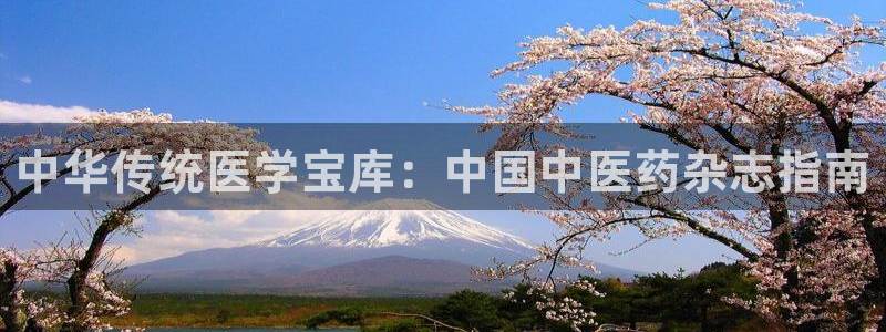 九游会集团币圈
