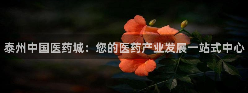 九游会网址多少