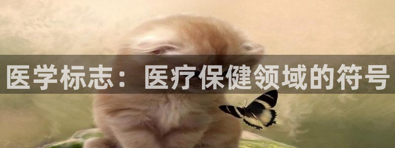 九游会吧