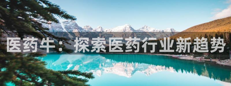 九游会官网站