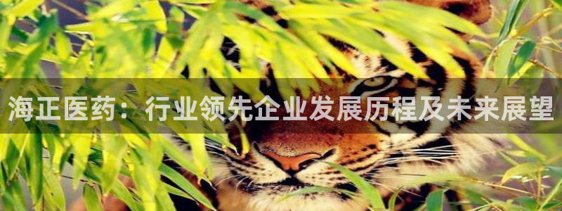 九游会官网登录首页