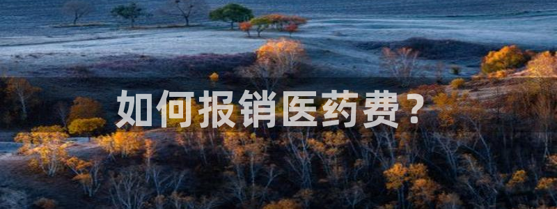九游会ag网址大全专业版