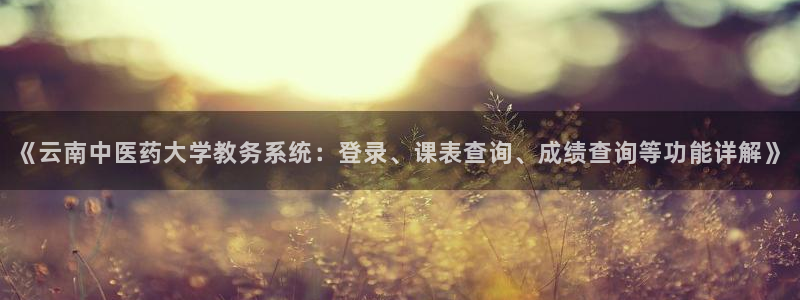 九游会官方链接