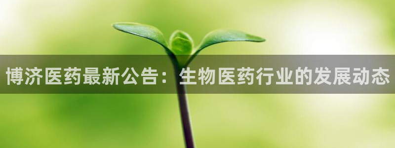 九游会平台j9