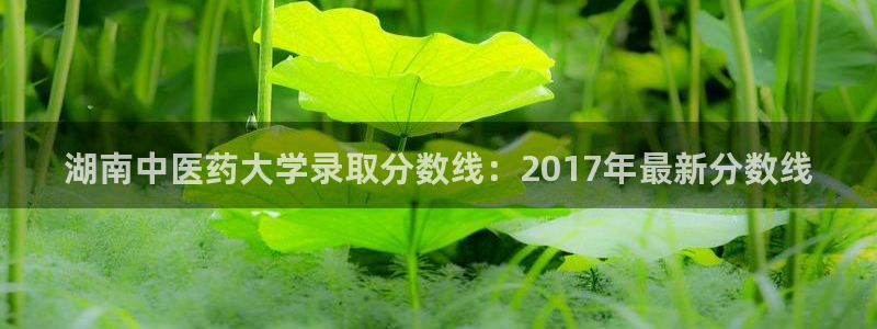 九游会官网登录中心