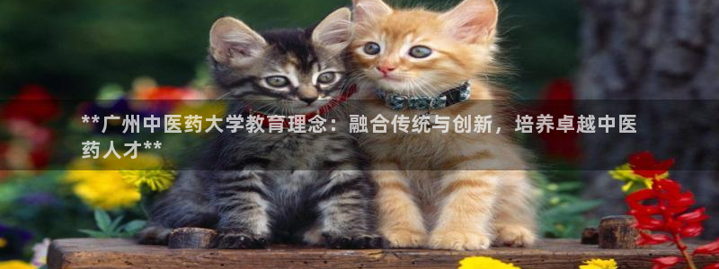 九游会j9官方网站