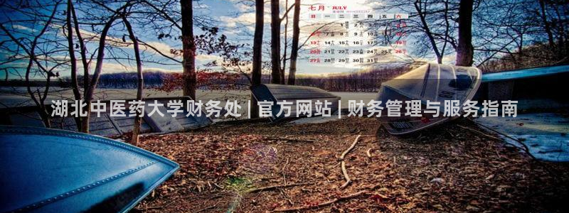 j9九游会登录