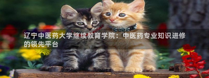 九游会软件