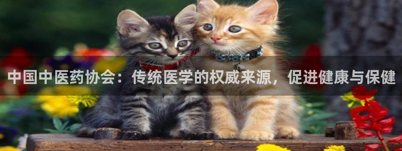 九游会网页版登录