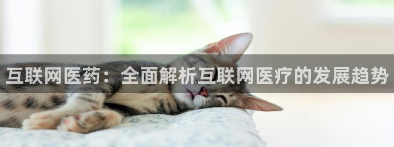 九游会官网登录网址