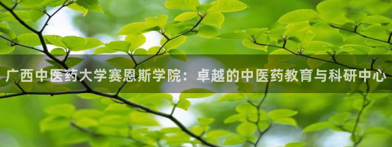 j9九游会登录